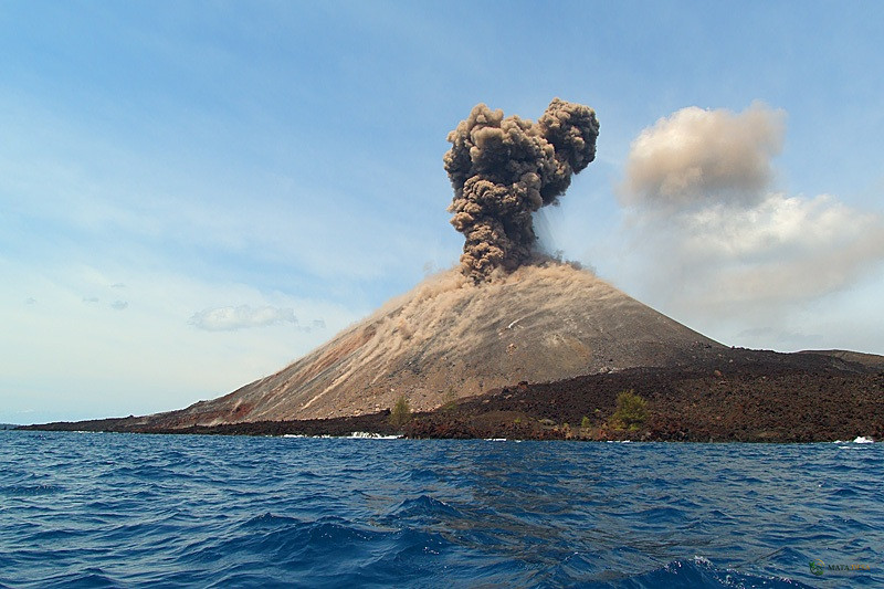 Gunung Anak Krakatau Erupsi Lagi, Kolom Abu Tebal Membubung Dua Kali, Kapal Wisata Diimbau Segera Menjau