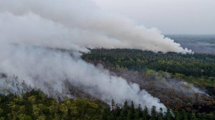 Karhutla Kalimantan Belum Mereda, Ratusan Titik Panas Terdeteksi hingga Asap Capai Malaysia dan Singapura