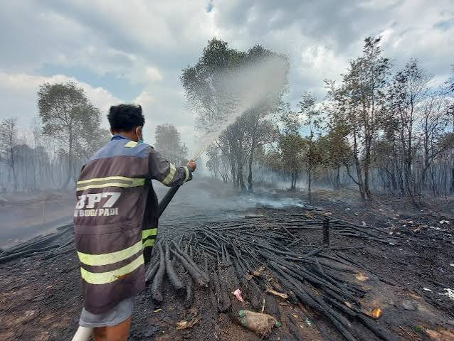 Karhutla Kepung Kalimantan, Lebih dari 1.600 Titik Panas Terdeteksi dalam Sehari