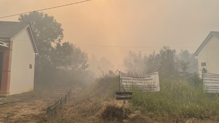 Lebih dari 3 Juta Warga Terpapar Kabut Asap Karhutla, Kasus ISPA Melonjak di Kalimantan