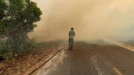 Malaysia Semai Awan di Perbatasan Indonesia, Siap Bantu Padamkan Karhutla dan Antisipasi El Nino