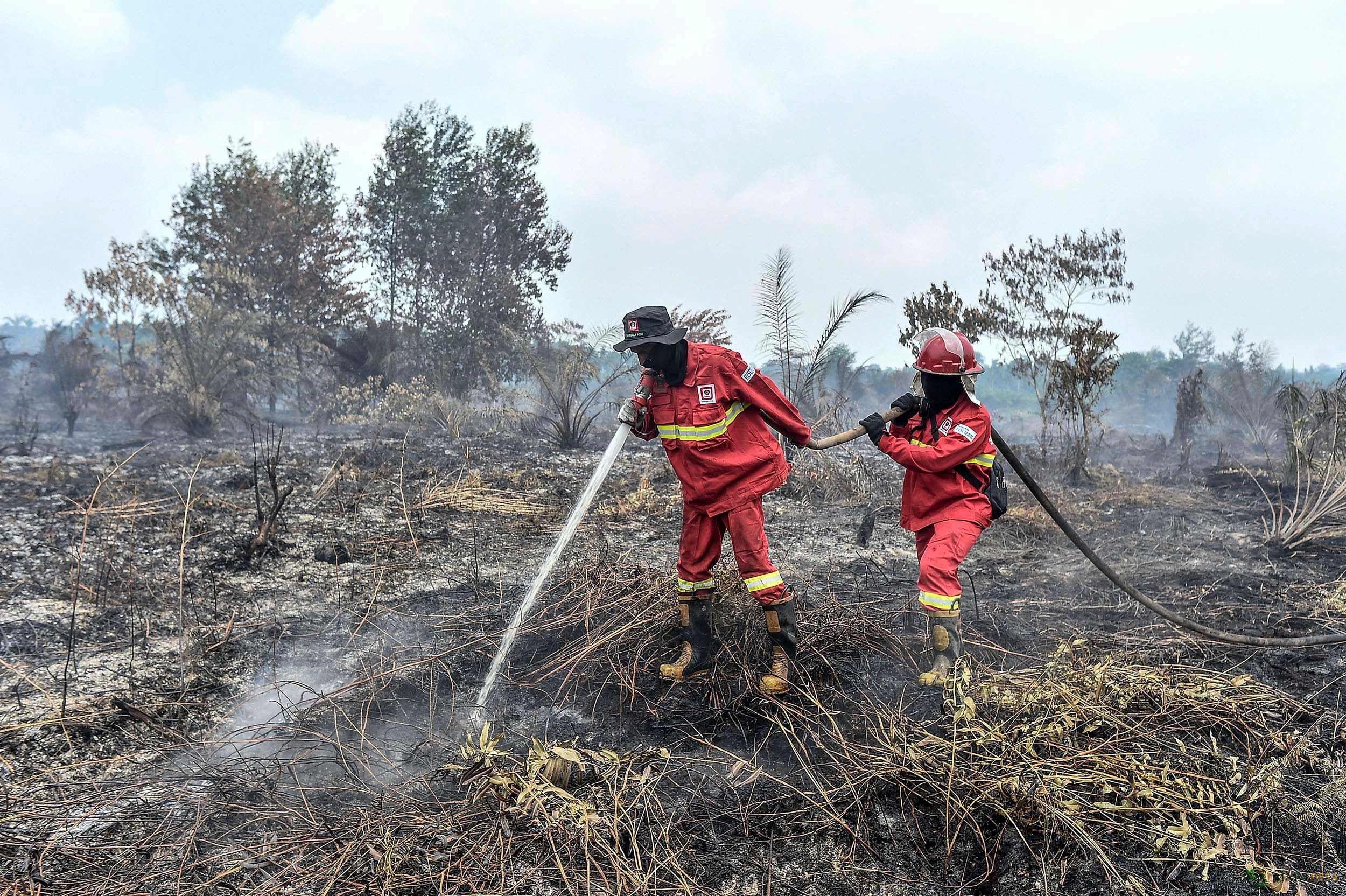 Warga Sumsel Bisa Jadi Pasukan Satgas Karhutla, Dapat Uang Semangat Rp150 Ribu per Hari
