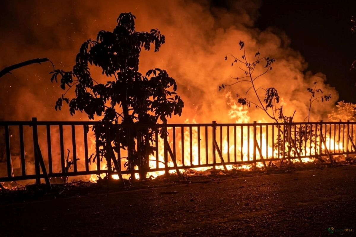 Karhutla Way Kambas Meluas hingga Dekati Kandang Gajah, Sekitar 100 Hektare Lahan Diperkirakan Terbakar